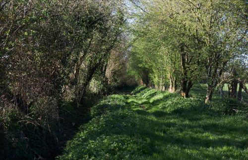 Ferme de Franqueville - Foto 47