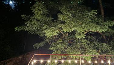 Klimaanlage, 5 Sterne Bahnhoftraum, Appartement "Waldliebe" 133qm, große Terrasse 70qm, QR Code scannen für virtuellen Rundgang, Premium Ausstattung - Foto 3, Garden, Garden view