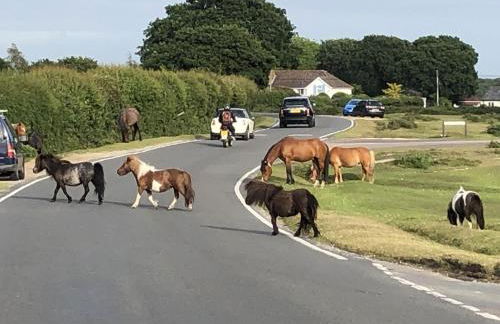 Pineview Retreat - Photo 53