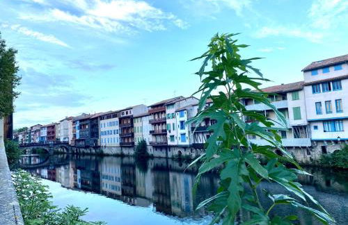 Studio Goya climatisé et jardin 2 nuits minimum - Photo 12