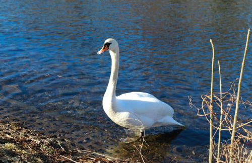 Ferienhaus Caputh - Foto 12