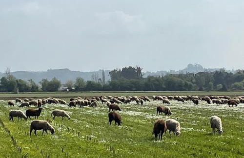 la casa gastounette - Foto 25