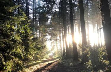 Nightjar Lodge - Adults Only - Foto 13