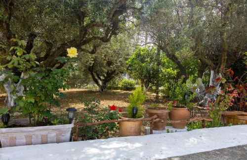 SEA & OLIVES HOUSE - Photo 31