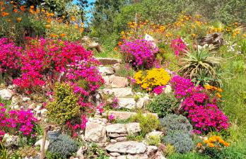 AFIFE "Porta da Alegria" - Foto 17