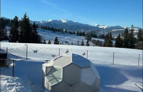 Domek JuKa - Foto 50