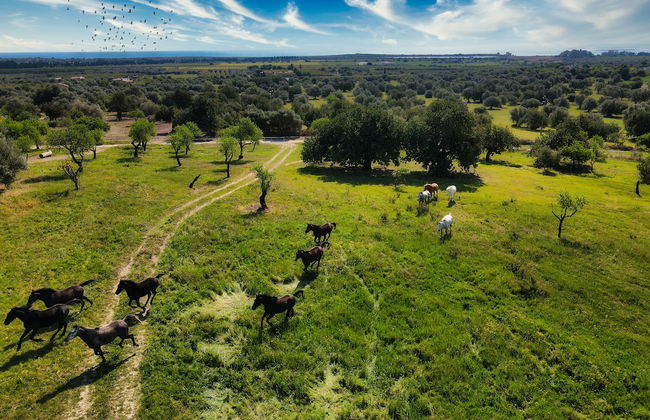 Terre di Vendicari - Photo 52