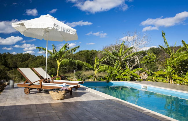 1841 Petrino - Foto 32