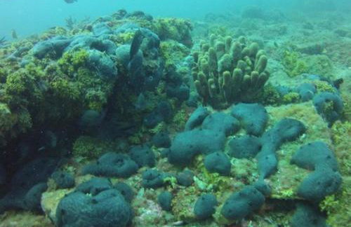 ELENI'S VILLAGE RELAXATION HOME - Photo 55