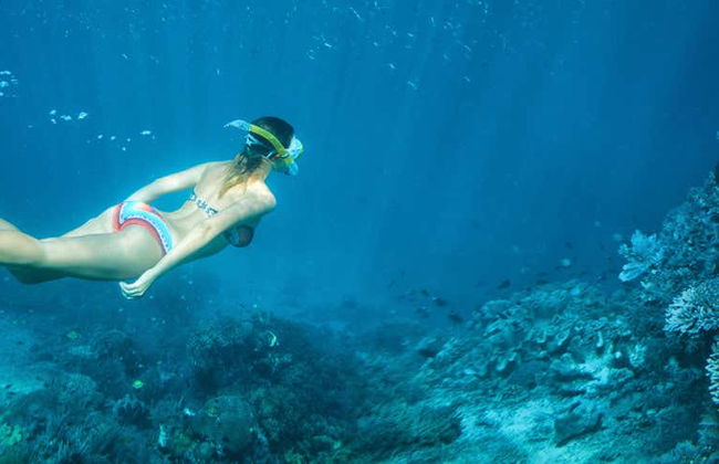Snorkel in the Huatulco Bay - Photo 1