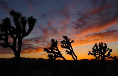 Landers Space Station - Foto 27