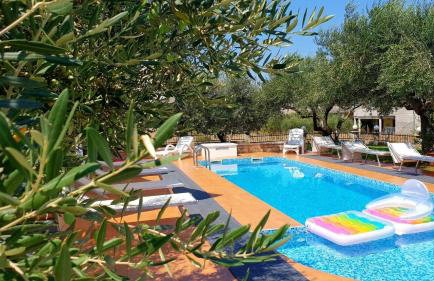 Family-friendly apartments with swimming pool Nevidjane, Pasman - 18054 - Foto 9