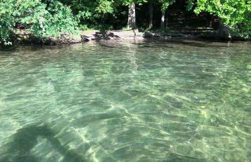 Ferienhaus Waldgeflüster 70 QM I überdachte Terrasse I 2 Schlafzimmer I Strandnah - Photo 32