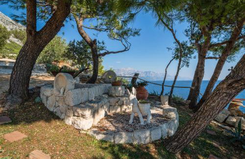 Apartments TOM - Photo 5