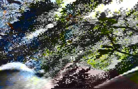 Guarda Garden Cabanas - Photo 7