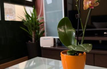 O Barqueiro- Fisher Village - Foto 17