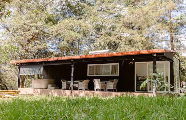 Mangoya Lounge - Photo 51