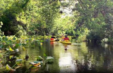 Charming Leesburg Cottage/Walk to HistoricDowntown - Foto 31