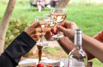 Le Cottage Nature Vigne Rouge Clim Gaillac entre Albi-Toulouse & Les Cottages du Tarn - Foto 14