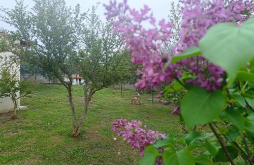 Grandmas Cottage - Photo 59