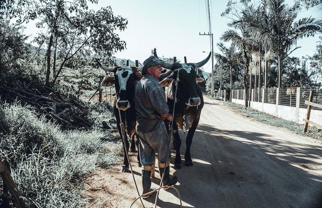 Garopaba Cachaça Tour - Photo 3