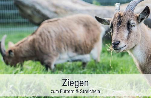 Bio Ferienhof Wichtelweide - Fewo Lavendel - Foto 24