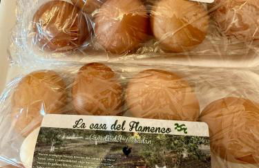 La Casa del Flamenco - Foto 48