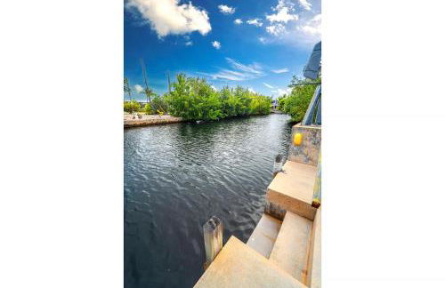 Reel Paradise - Foto 33