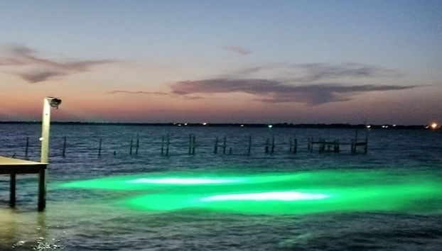 Little Cove Resort by Miss Kitty’s - Foto 2, Ausstattung der Unterkunft