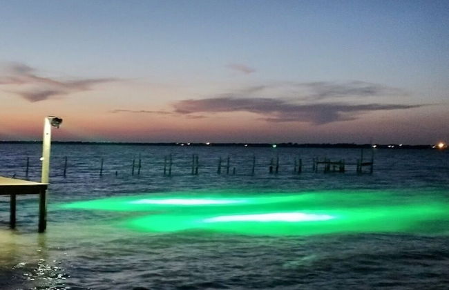 Little Cove Resort by Miss Kitty’s - Foto 14