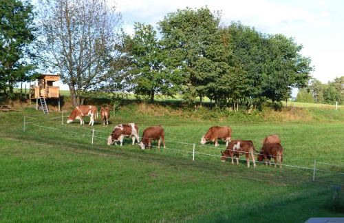 Zirbenholzwohnung Lochau - Foto 15