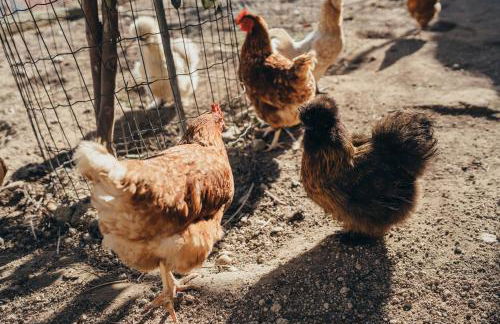 Casa da Carvalha - Foto 46