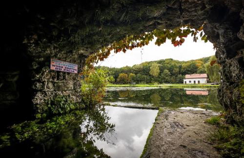 "Rózin Pstrągarnia" domki całoroczne Jura Krakowsko-Częstochowska - Foto 38