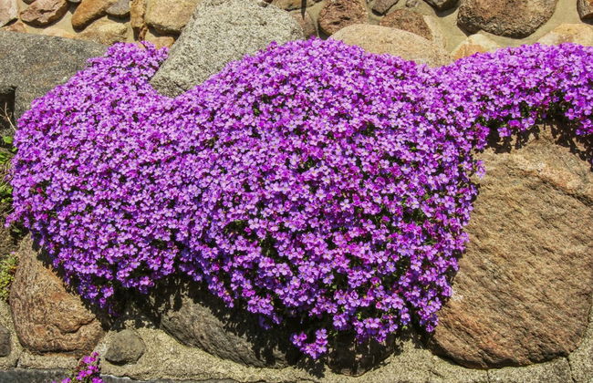 "Detlef" - 200m from the sea - Photo 3