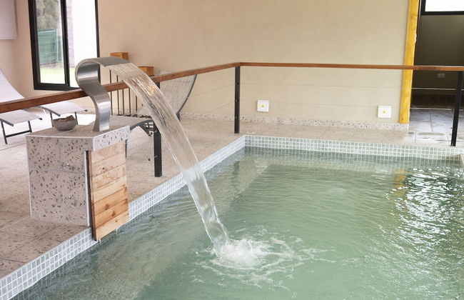 Olivos de Monte - Foto 46