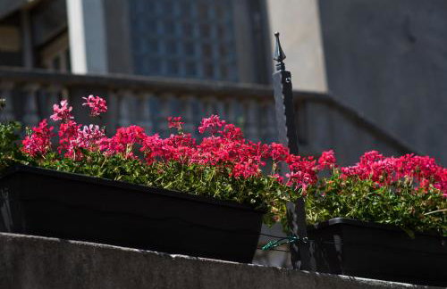 Apartment Andrija - Foto 44