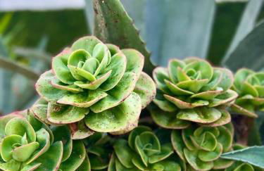 Villa Mar & Surf • Piscina privada - Photo 48