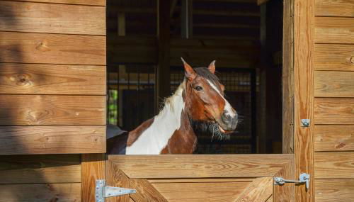 Farm Stay Modern Barndominium in Lakeland! - Foto 2