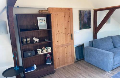 Dzika Foka Wiosłowa 49 - Photo 23