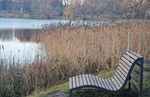 Apartament w Centrum z wanną z hydromasażem - Foto 40