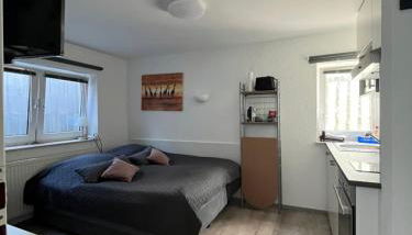 ruhige Sout. Whg. Feldrandnähe - Foto 4