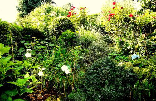 Ferienwohnung Ginkgo - Foto 31