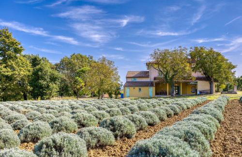 Villa Stancija Klis - Foto 32