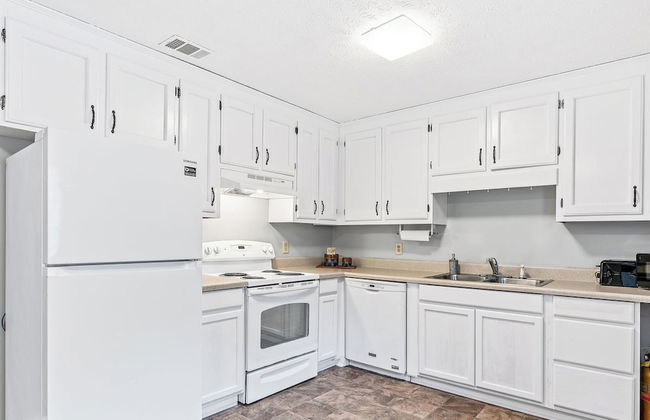 Double Dawg Duo - Foto 7