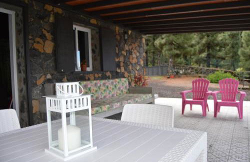 La Palma Wild Life - Foto 20