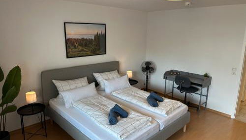 Meerrettichnest Groß - Foto 5