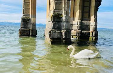 " Sunshine am See " - Foto 20