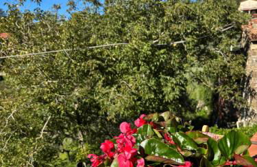 Casa Vacanza Ginevra - Foto 17