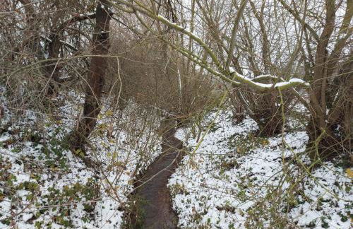 Ferienwohnung 'Frühauf' im Südharz OT Uftrungen - Foto 66