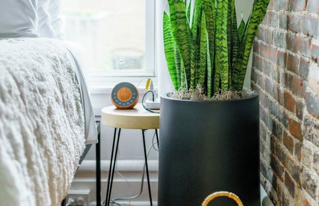 Jungle Gem Master house - Foto 23